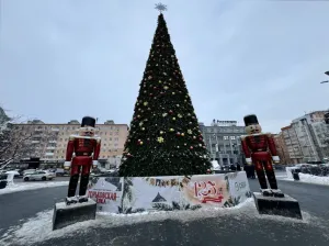 На Автозаводе в Нижнем Новгороде установили новогоднюю ёлку